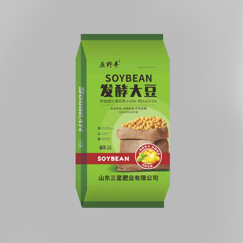 发酵大豆